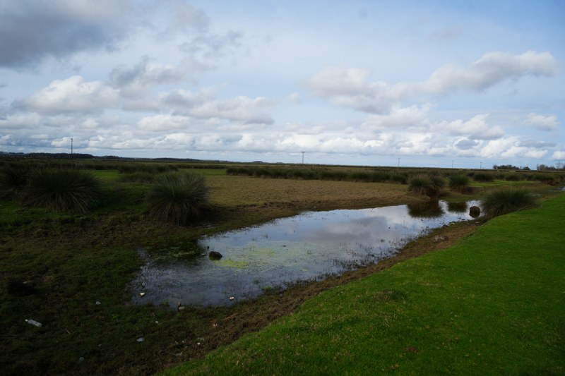 Kızılırmak Deltası alarm veriyor! Samsun'da endişelendiren açıklama