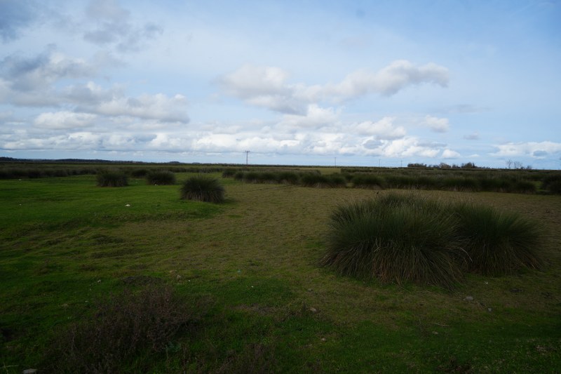 Kızılırmak Deltası alarm veriyor! Samsun'da endişelendiren açıklama