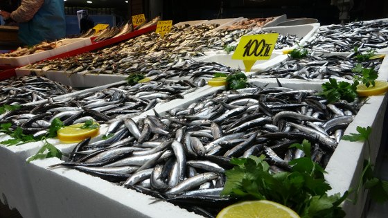 Karadeniz'de hamsi bolluğu balık piyasasını değiştirdi
