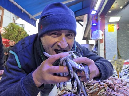 Samsun'da balıkçılar hamsi satışı karşısında şaşkın!