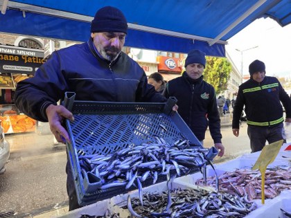 Samsun'da balıkçılar hamsi satışı karşısında şaşkın!