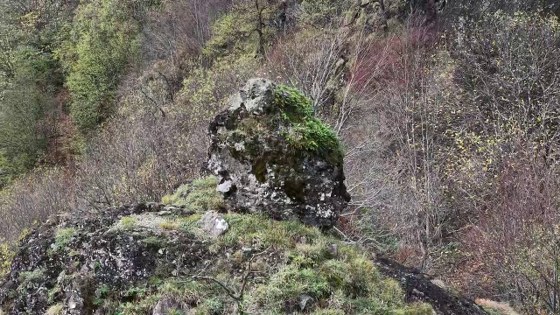 Samsun'da mahalle sakinlerini şaşırtan kaya!