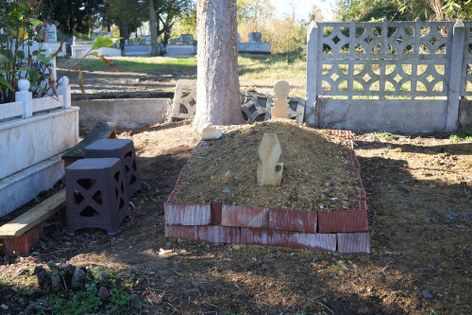 Bu vefa insanı ağlatır: Samsun'da sahibinin mezarında nöbet tutuyor