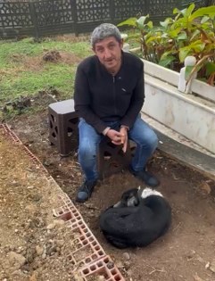 Bu vefa insanı ağlatır: Samsun'da sahibinin mezarında nöbet tutuyor