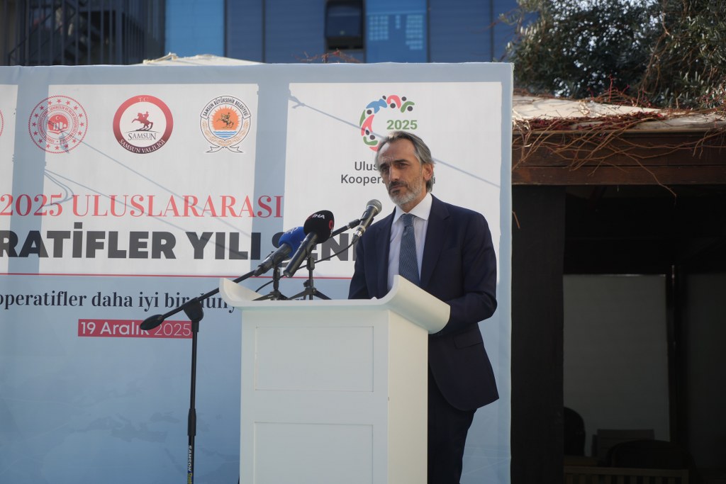 A W602431 05 1024X683