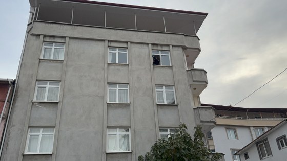 Samsun'da incir ağacı hayatını kurtardı: Mucize kurtuluş