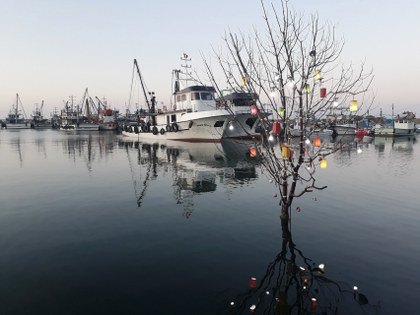 Samsun yeniden Japon turistlerin radarına giriyor