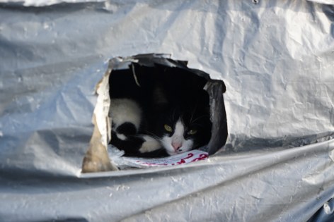 Samsun'da sahilde patililer için takdir toplayan duyarlılık! 