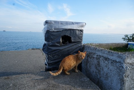 Samsun'da sahilde patililer için takdir toplayan duyarlılık! 