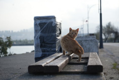 Samsun'da sahilde patililer için takdir toplayan duyarlılık! 