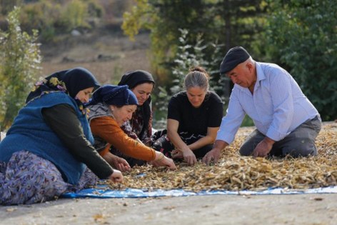 Samsun'da tarımda yeni dönem: Sözleşmeli üretim 