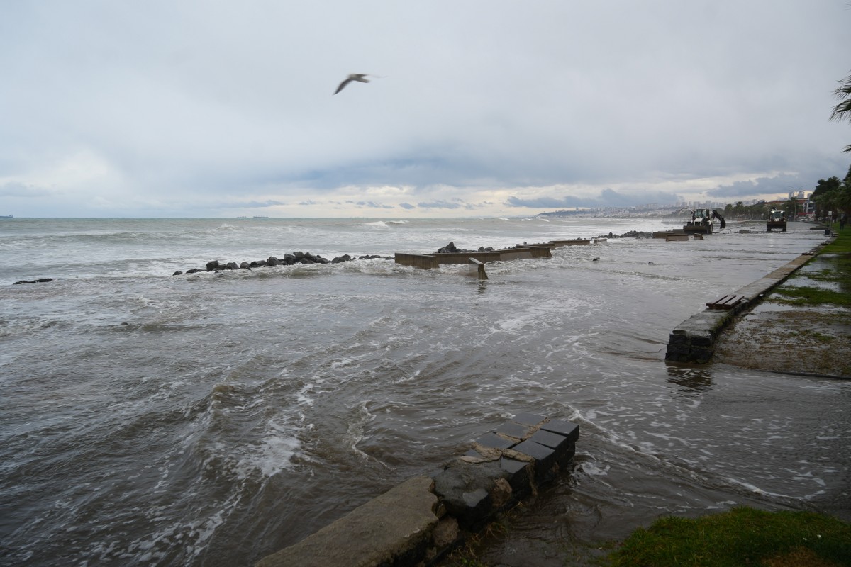 A W608983 03 1200X800