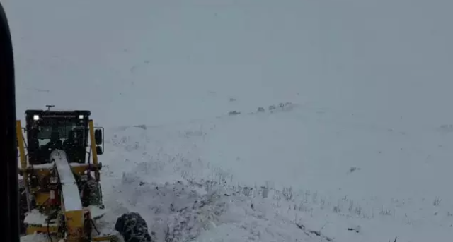 Karadeniz'de çığ düştü: 3 çoban çığ altında kaldı 