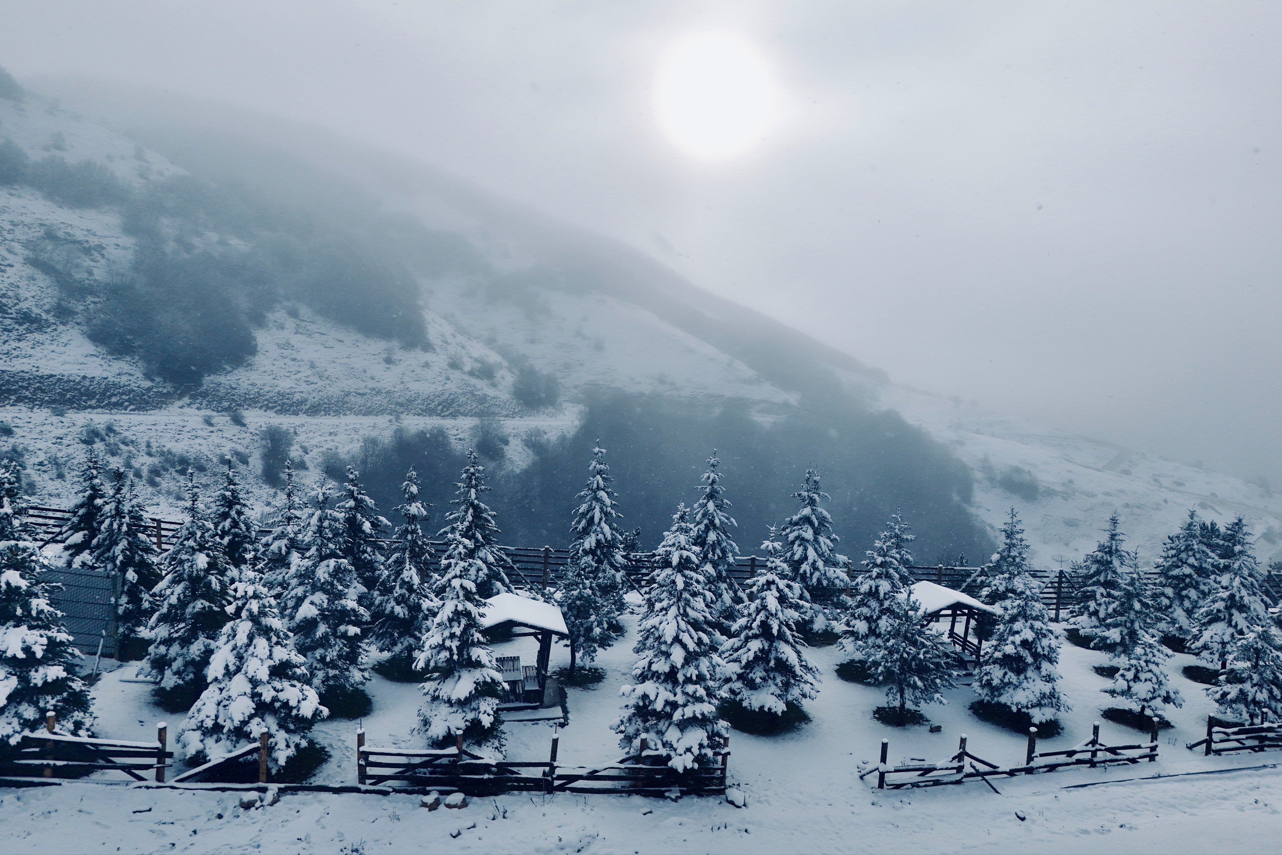 Samsun'da kar sürprizi! Eşsiz manzaralar