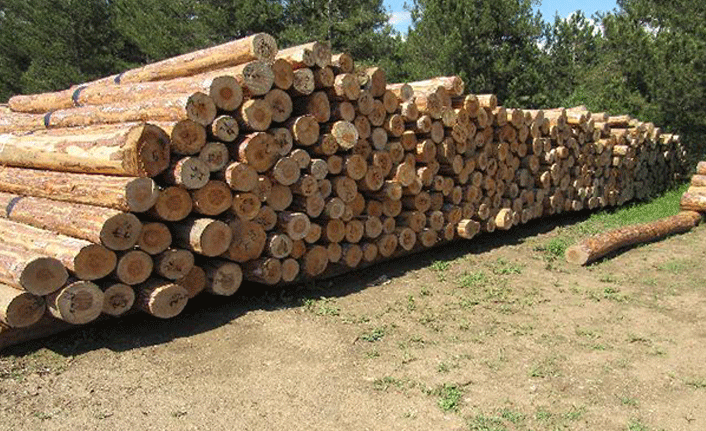 ORMAN DEPOLARINDA İSTİF İHALESİ HİZMET ALIMI İŞİ