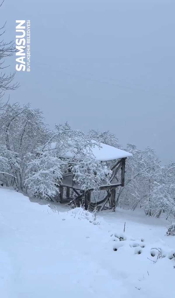 Samsun Kar Yagisi Ic 1 1612
