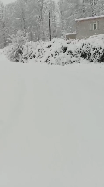 Samsun Kar Yagisi Tacalan 2