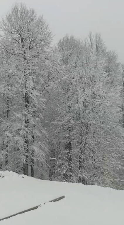 Samsun Kar Yagisi Tacalan