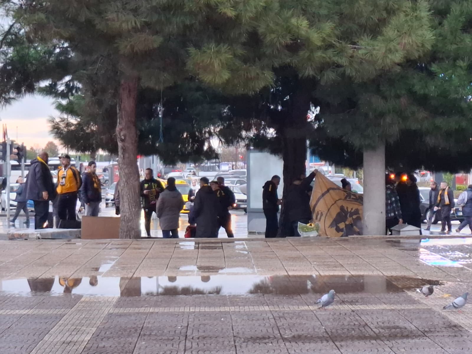 Whatsapp Image 2025 12 11 At 16.43.00 (1)