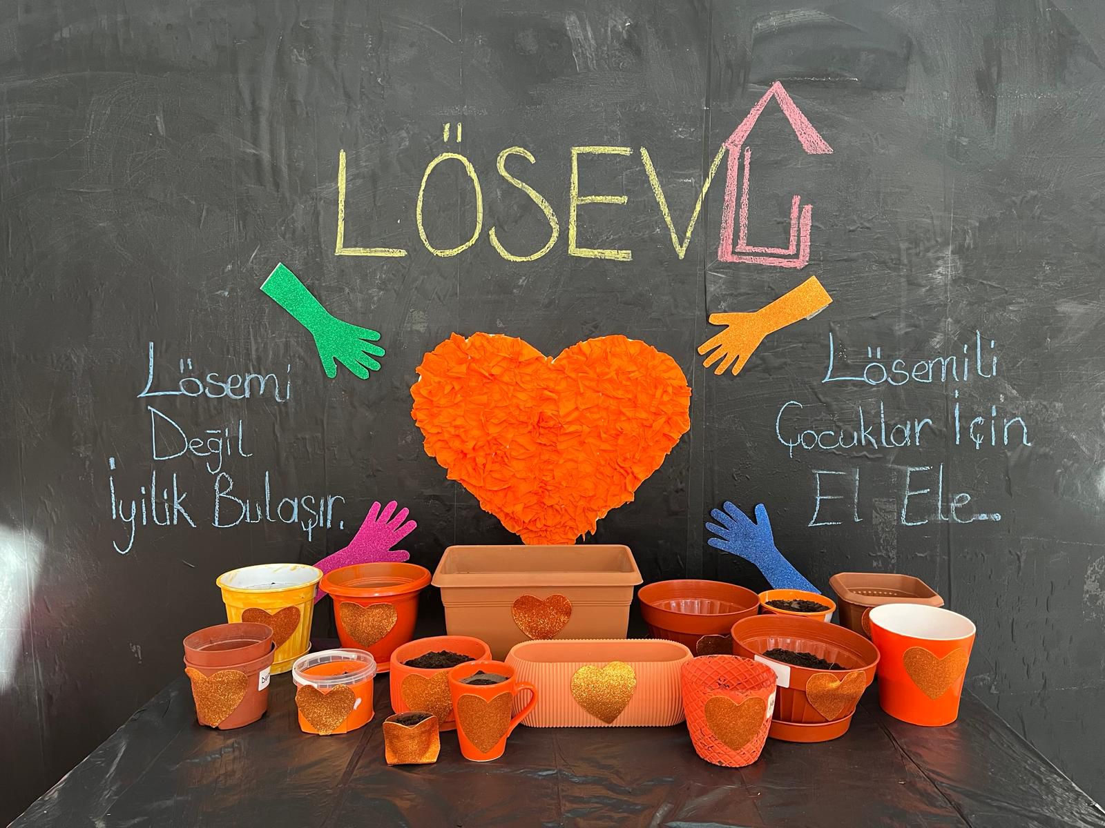 LÖSEV, minik adımlarla geleceğe tohum ekti