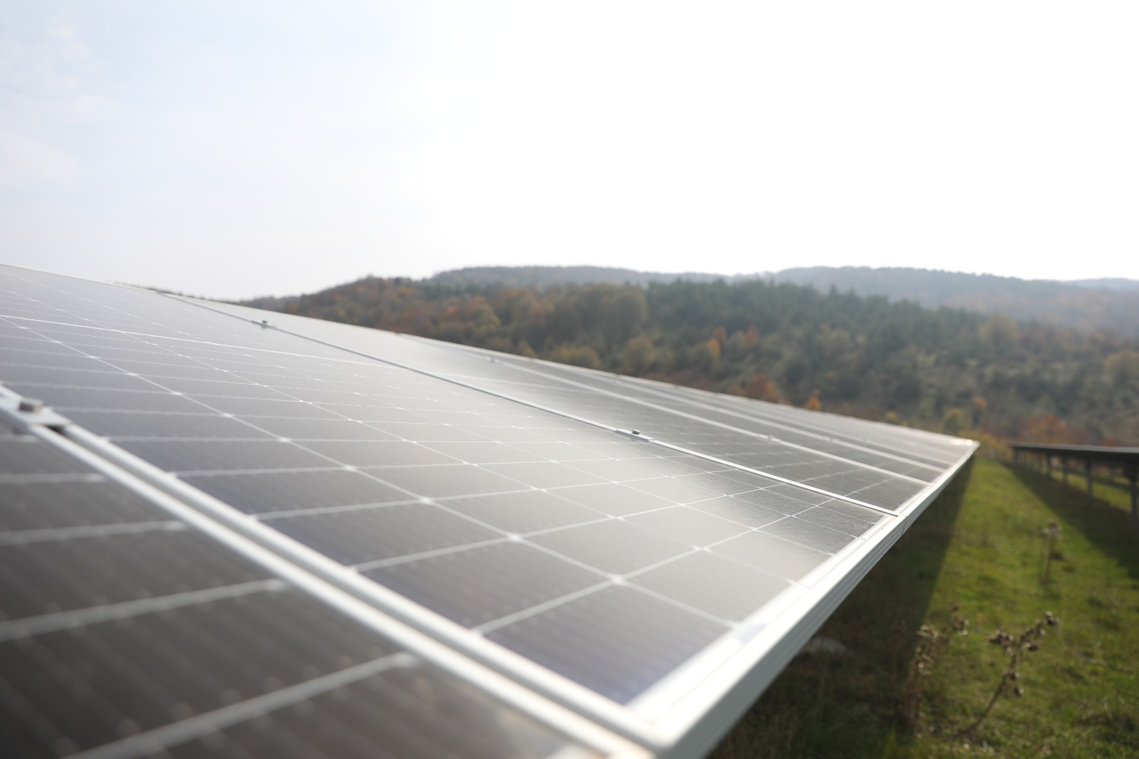 Whatsapp Image 2025 12 18 At 14.43.42