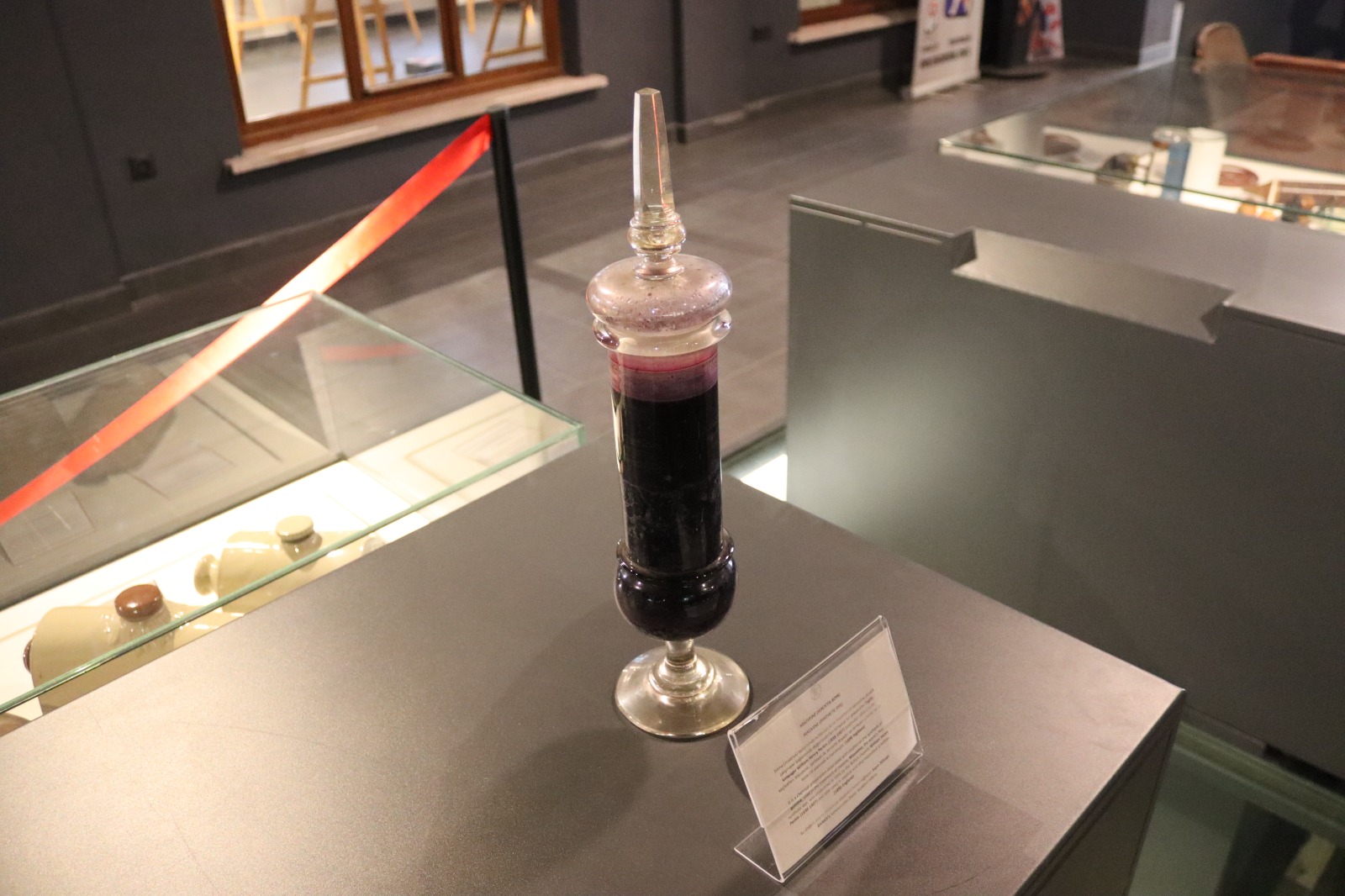 Dünyada sadece üç örneği var, biri Samsun'da! 