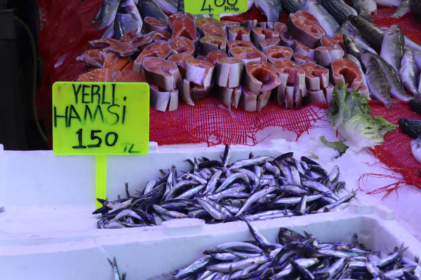 Whatsapp Image 2025 12 30 At 17.16.40