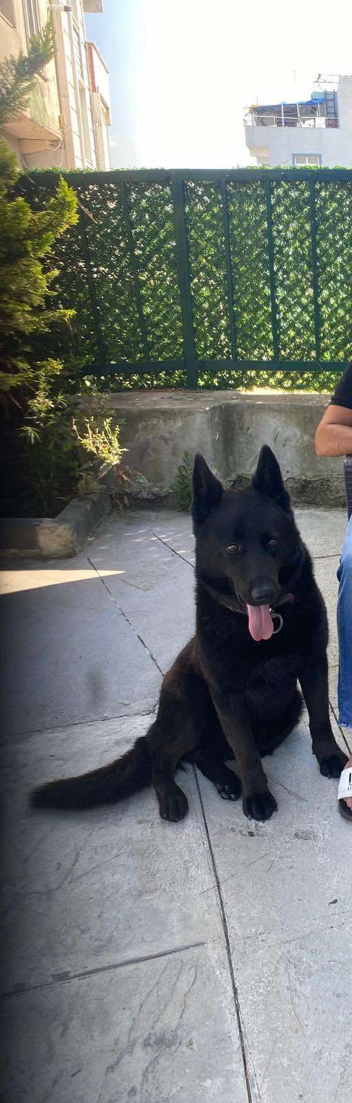 618080145 903836598683819 5809701356518864600 N