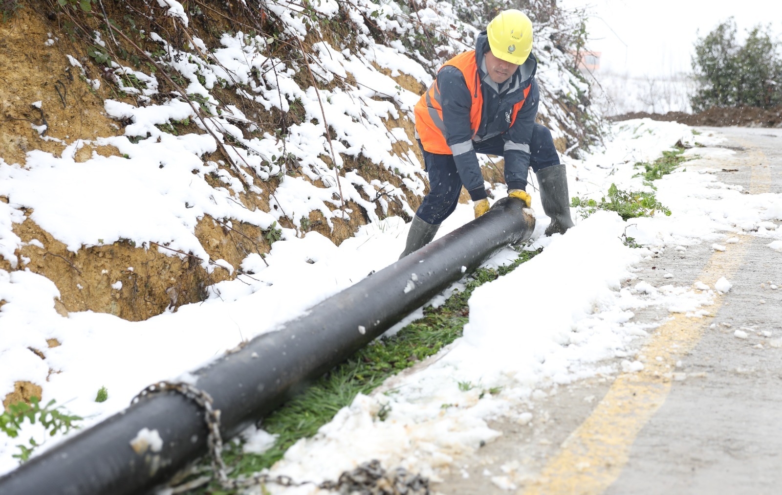 9E346705 D6B8 4Faf A974 B8D433F2303B