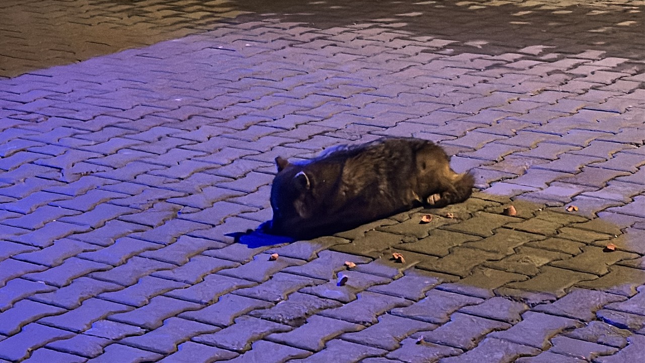 A A 20260103 40153271 40153270 S A M S U N D A P O L I S I N B I T K I N H A L D E B U L D U G U C A K A L Y A V R U S U T E D A V I A L T I N A A L I N D I 1280X720