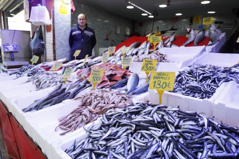 Samsun'da hamsiden haber var!