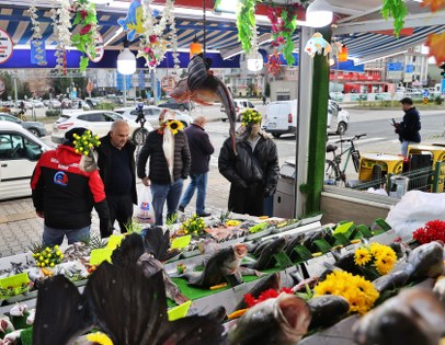 Samsun'da balıkta sevindiren gelişme! 