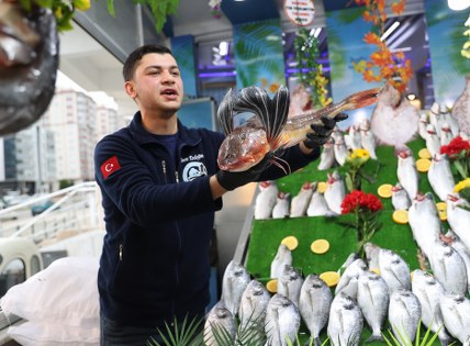 Samsun'da balıkta sevindiren gelişme! 