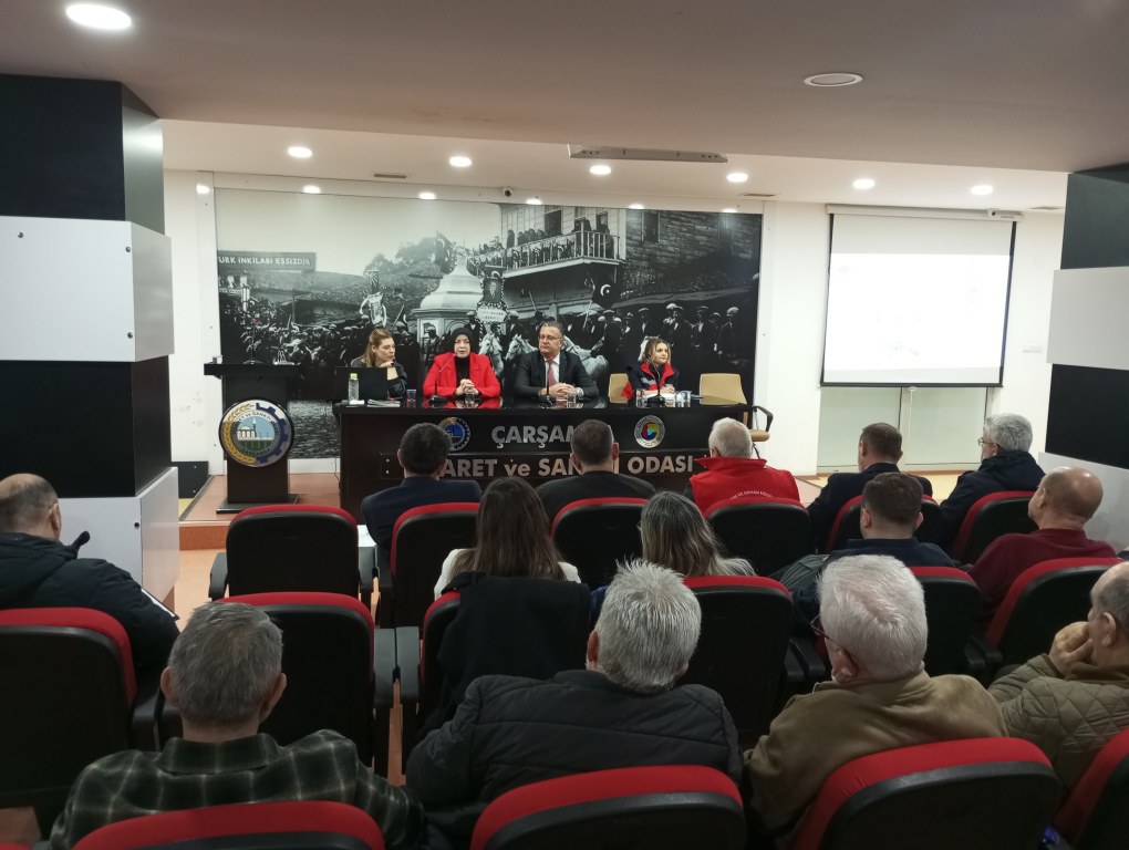 A A 20260127 40380880 40380879 C A R S A M B A D A B R E C E T E T O P L A N T I S I Y A P I L D I 1020X768