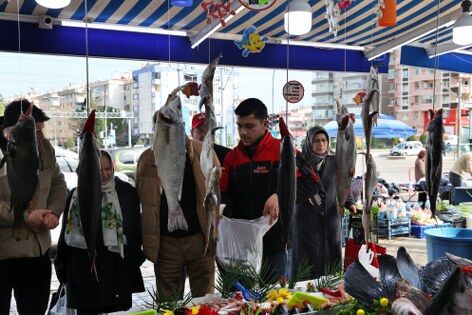 Hamsi Samsun'a geri döndü! İşte fiyatı