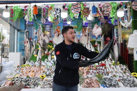 Hamsi Samsun'a geri döndü! İşte fiyatı