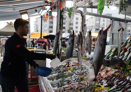Hamsi Samsun'a geri döndü! İşte fiyatı