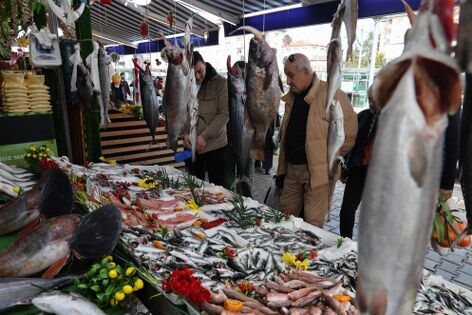 Hamsi Samsun'a geri döndü! İşte fiyatı