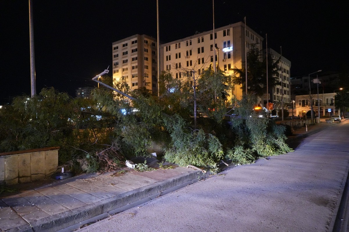 A W612973 03 1201X800