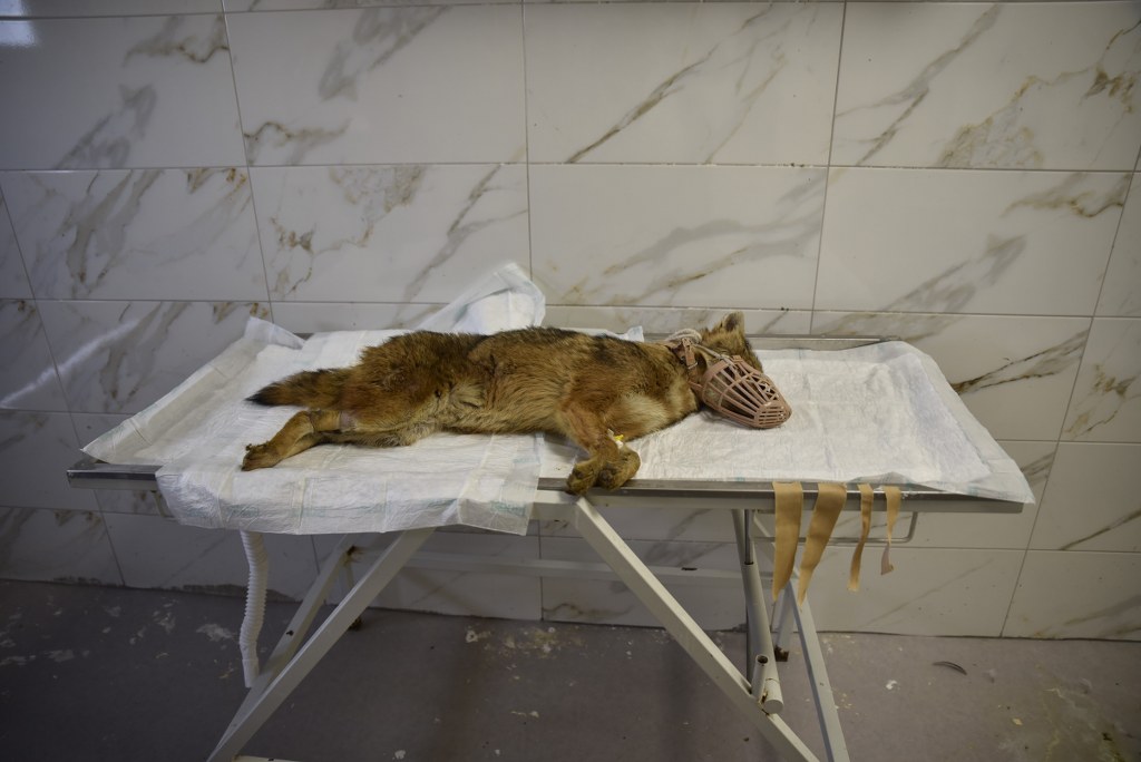 A W615428 01 1024X684