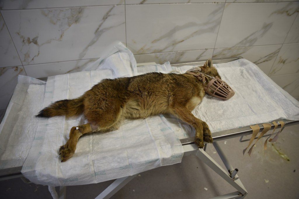 A W615428 02 1024X684