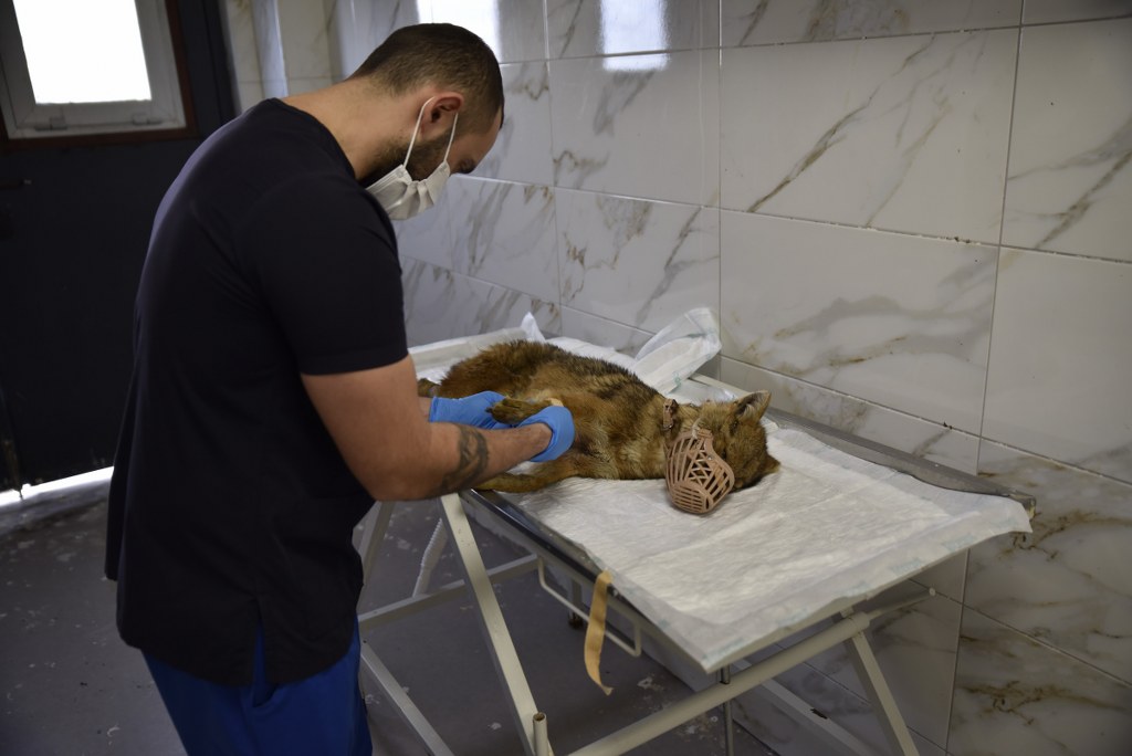 A W615428 03 1024X684