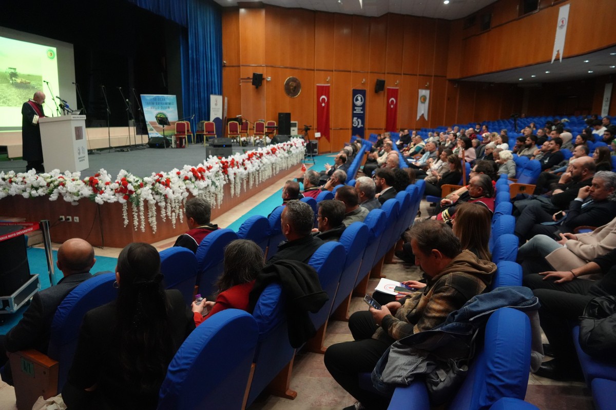 A W616266 02 1200X800