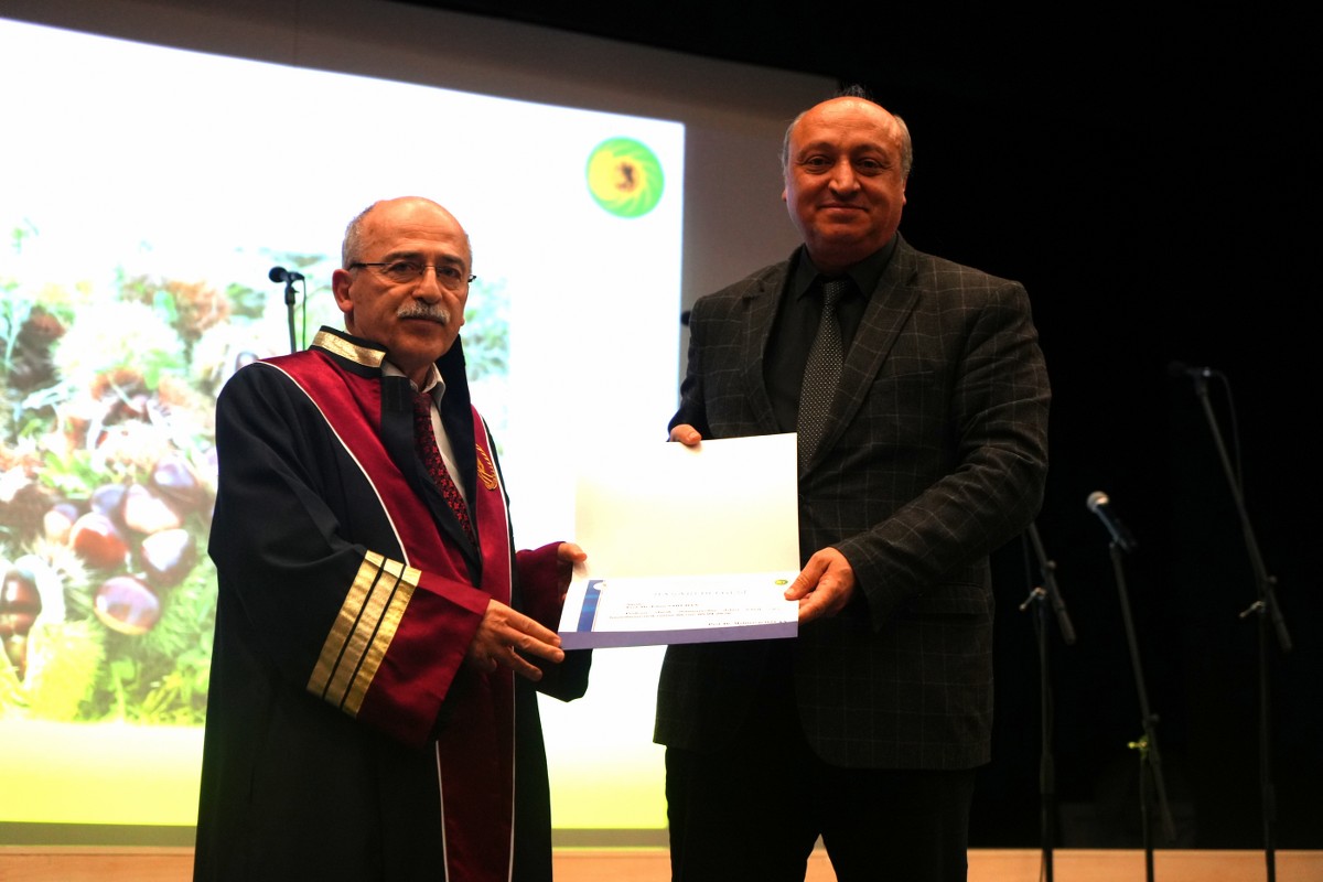 A W616266 05 1200X800