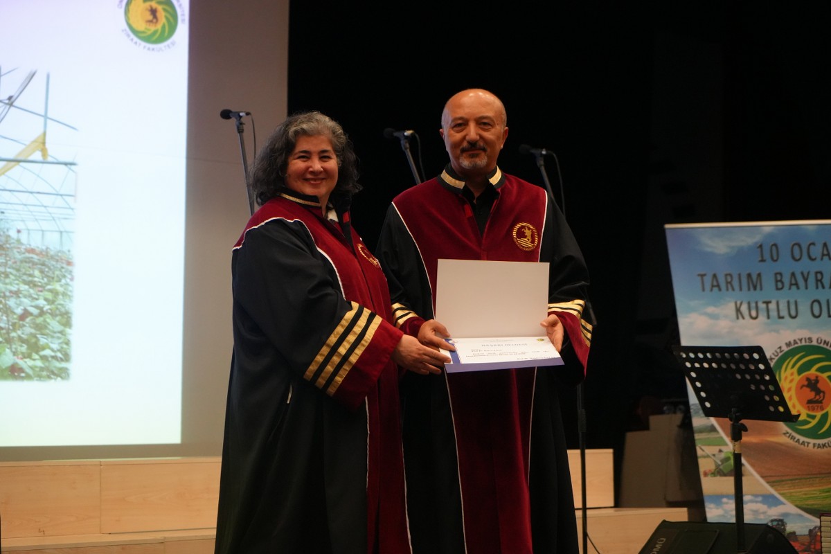 A W616266 06 1200X800