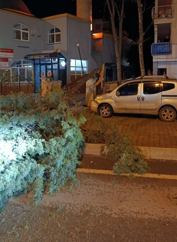 A W616366 01 585X800