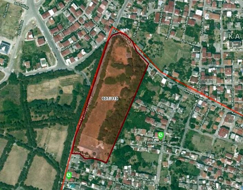 A W620316 03 984X768