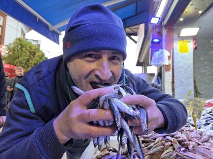 Samsun'da balıkçılar yol gözlüyor: "Hamsinin kafası karıştı"