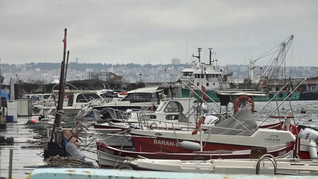 A W622189 01 1024X576