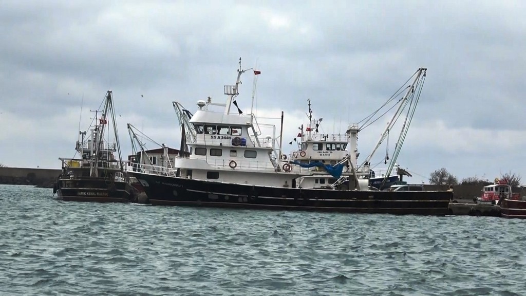 A W622189 03 1024X576